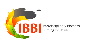 IBBI Logo